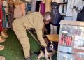 Sniffer dog arrests suspected thugs from their hideout
