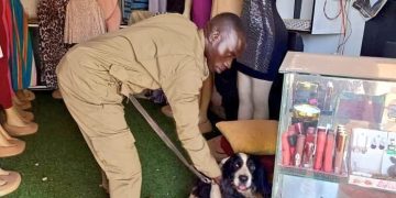 Sniffer dog arrests suspected thugs from their hideout