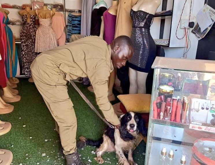 Sniffer dog arrests suspected thugs from their hideout