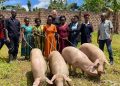 Thousands of Local Farmers in Pig Rearing and the Pork Value Chain to Benefit from Newly Launched “Finest Farms” Partnership