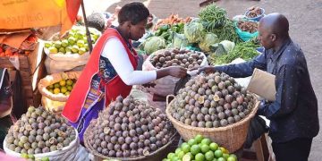 Empowering SMEs: How Banks Are Unlocking Growth and Financing Opportunities