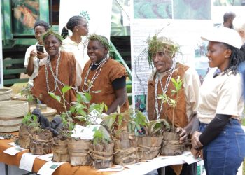 World Wildlife Day: Batwa Community Shares Forest Healing Knowledge in Bwindi
