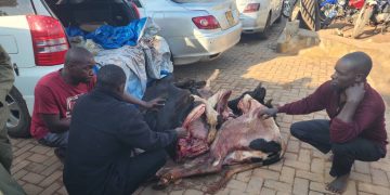 Police impounds vehicle with slaughtered animals, three arrested