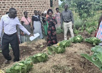 Mpigi Farmers Benefit from Solar-Powered Irrigation Under DREEM Project