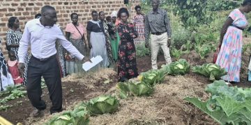 Mpigi Farmers Benefit from Solar-Powered Irrigation Under DREEM Project