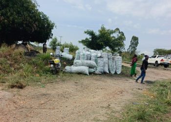 NFA Dismantles Fake Roadblock Racket Extorting Charcoal Traders on Major Highways