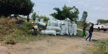 NFA Dismantles Fake Roadblock Racket Extorting Charcoal Traders on Major Highways