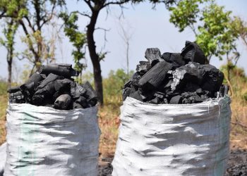 Uganda’s Charcoal Dependence Threatens Clean Energy Goals