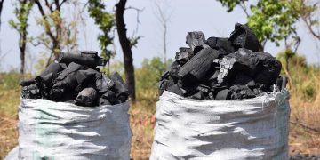 Uganda’s Charcoal Dependence Threatens Clean Energy Goals
