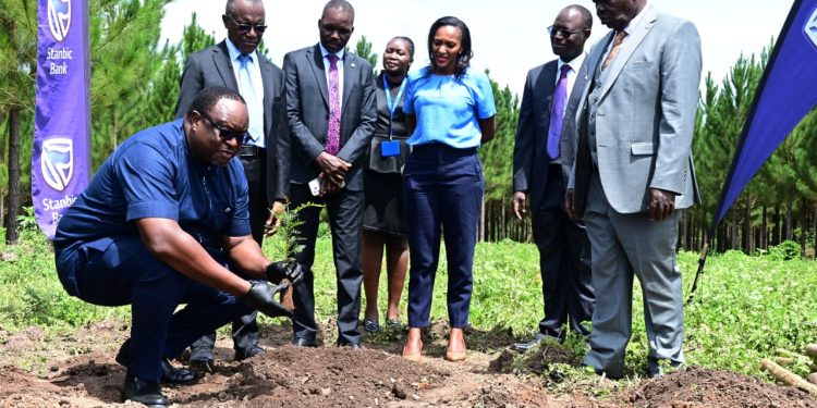 Stanbic Bank Uganda Chief Executive Mumba Kalifungwa, participating in a tree planting activity at Bunyoro University. Looking on is the university task force committee leadership