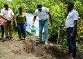 NCBA Bank, NFA Plant 20,000 Trees in Namananga Forest Reserve