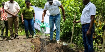NCBA Bank, NFA Plant 20,000 Trees in Namananga Forest Reserve