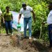 NCBA Bank, NFA Plant 20,000 Trees in Namananga Forest Reserve