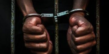 The phone that stole a surgeon’s life