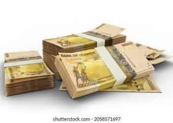 Govt holds stakeholder sensitization workshops on programme-based budgeting system to boost performance