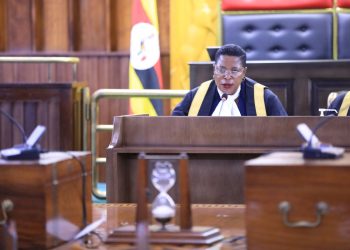 Delayed Parliament chambers force Among to block direct payments to ROKO