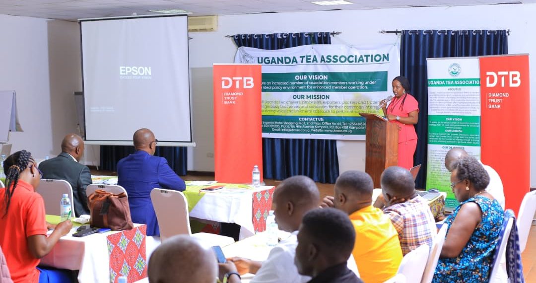 DTB Partners with Uganda Tea Association to Drive Global Competitiveness and Value Addition