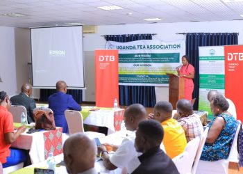 DTB Partners with Uganda Tea Association to Drive Global Competitiveness and Value Addition