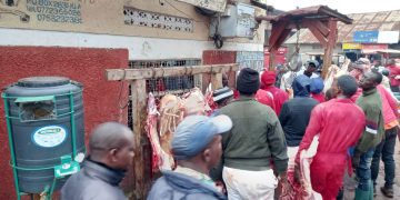 Government Urged to Crack Down on Fake Animal Pesticides