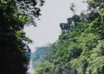 Two women knocked dead in a hit-and-run road crash