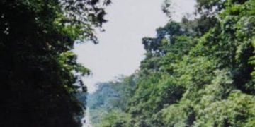 Two women knocked dead in a hit-and-run road crash
