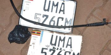 Eight arrested over motorcycle theft