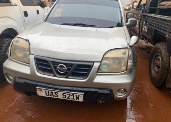 Police recover suspected stolen cattle, suspects flee