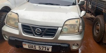 Police recover suspected stolen cattle, suspects flee