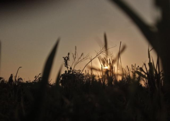 The quiet weight behind the pulpit