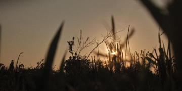The quiet weight behind the pulpit