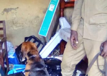 Police dog unravels campus heist at Makerere University