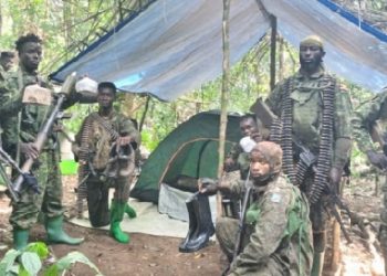 Intensified Uganda–DRC joint offensive operations exert more pressure on ADF terrorists