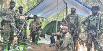 Intensified Uganda–DRC joint offensive operations exert more pressure on ADF terrorists