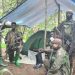 Intensified Uganda–DRC joint offensive operations exert more pressure on ADF terrorists