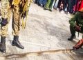 Tanzanian bus crew nabbed at Namanga after live snake smuggling plot foiled