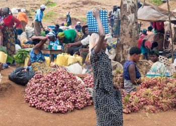 GROW Project:  A catalytic initiative designed to unlock the full potential of women entrepreneurs 