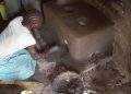 Rice West Nile’s SEA Project Transforms West Nile and Karamoja
