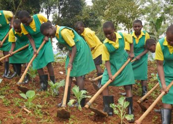 RESOURCE Project Transforms Lives, Reduces Child Labour in Bududa Coffee Farming  Communities