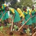 RESOURCE Project Transforms Lives, Reduces Child Labour in Bududa Coffee Farming  Communities