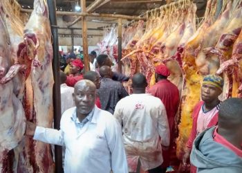 Shortage of Animals During Eid al-Adha Linked to Middle East Conflict