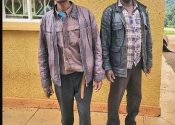 SACCO chairperson, secretary charged over theft of PDM beneficiaries’ funds