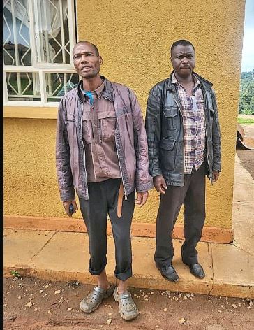 SACCO chairperson, secretary charged over theft of PDM beneficiaries’ funds