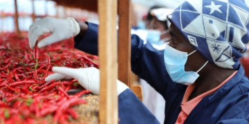 Zero tariffs forge stronger China-Africa partnership toward shared prosperity