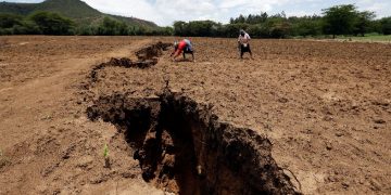 Scientists, researchers say East Africa is slowly  splitting from the continent
