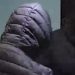Tensions rise as Mexico pushes back against US anti-drug operations
