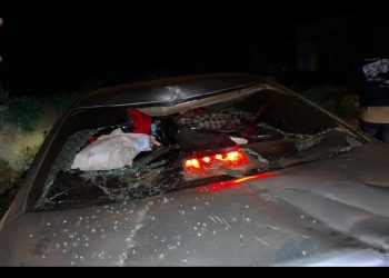 Uganda music scene on edge as King Saha, Pallaso feud turns more violent