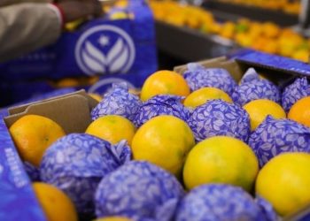 China’s zero-tariff policy to boost African export confidence, global trade stability, says industry leader