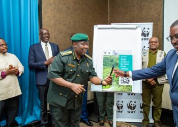 New Study Warns of Growing Threats to Wildlife Corridors in the Greater Virunga Landscape