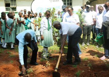 NCBA Bank, KCCA and Dentons Establish Micro Forest at Nakasero Primary School to Mark World Environment Day
