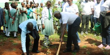 NCBA Bank, KCCA and Dentons Establish Micro Forest at Nakasero Primary School to Mark World Environment Day